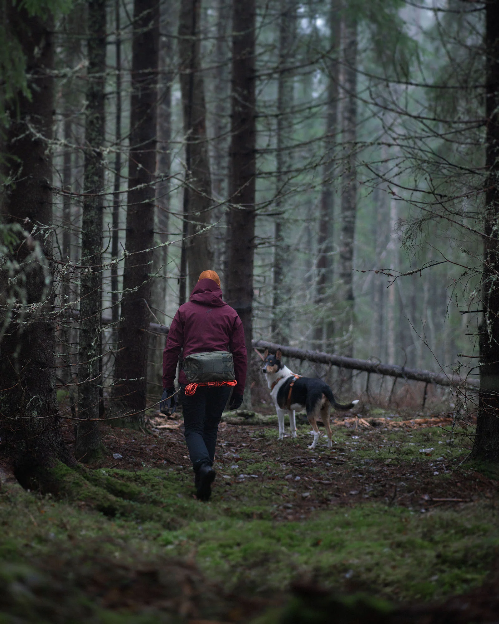 Askare hip pack - Image 3