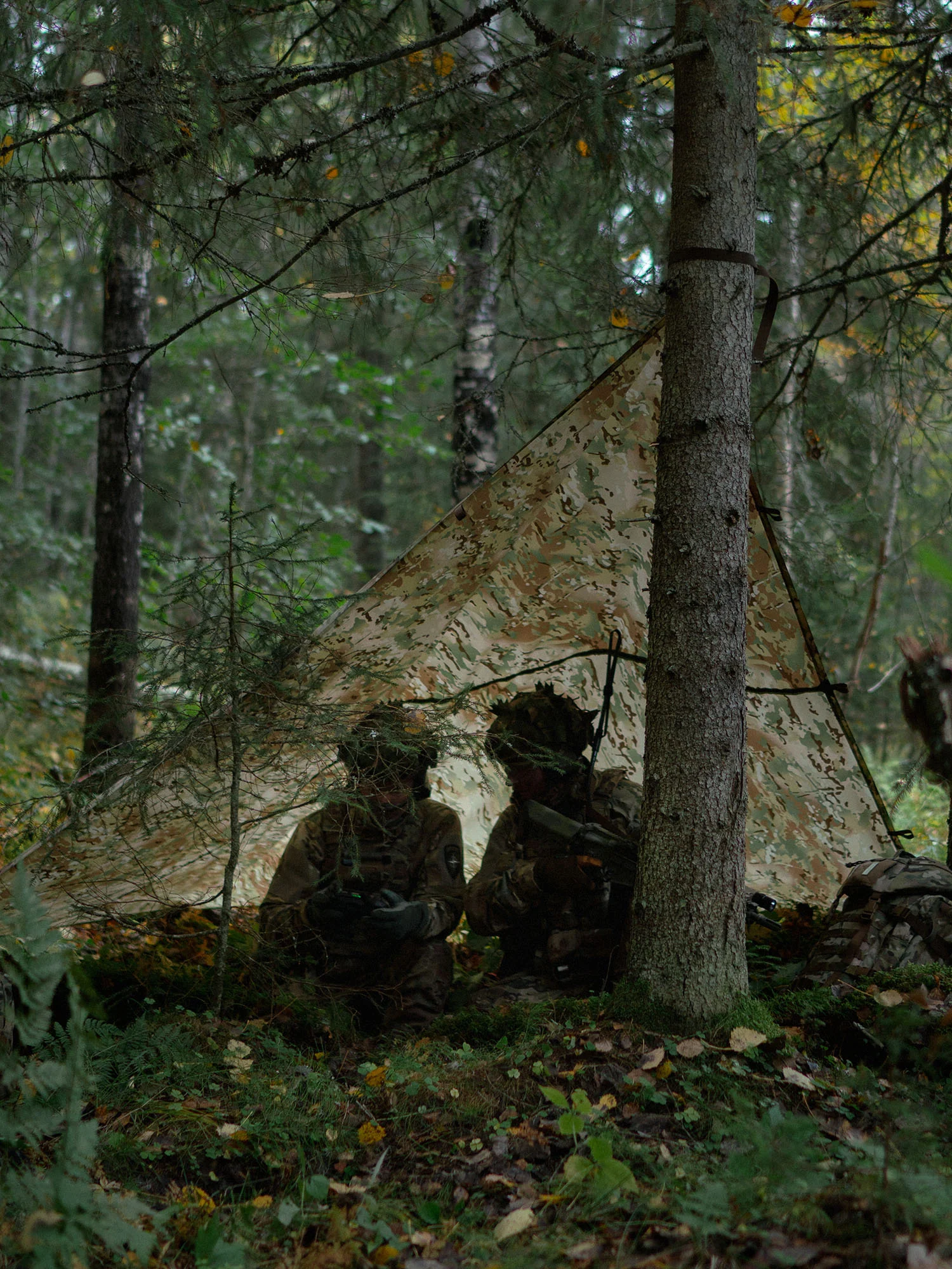 Laavu tarp, 275x275 cm IRR - Image 3