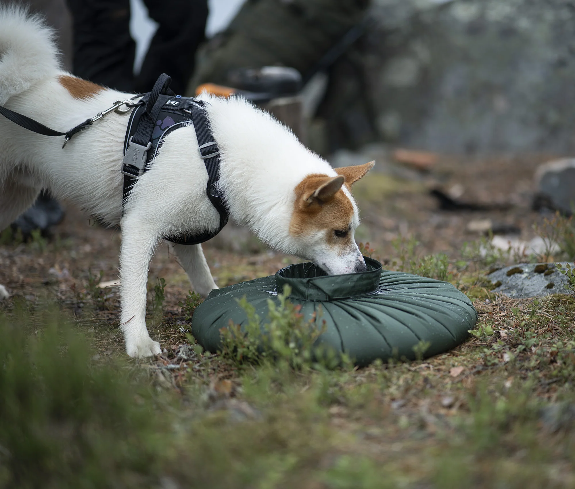 Water carrying bag - Image 4